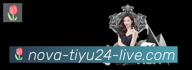 扫码下载 App